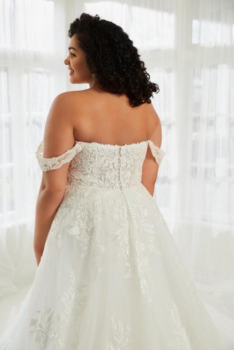 Aisling-Sophia Tolli Y3112