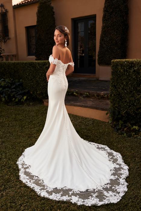 Millee-Sophia Tolli Y3113