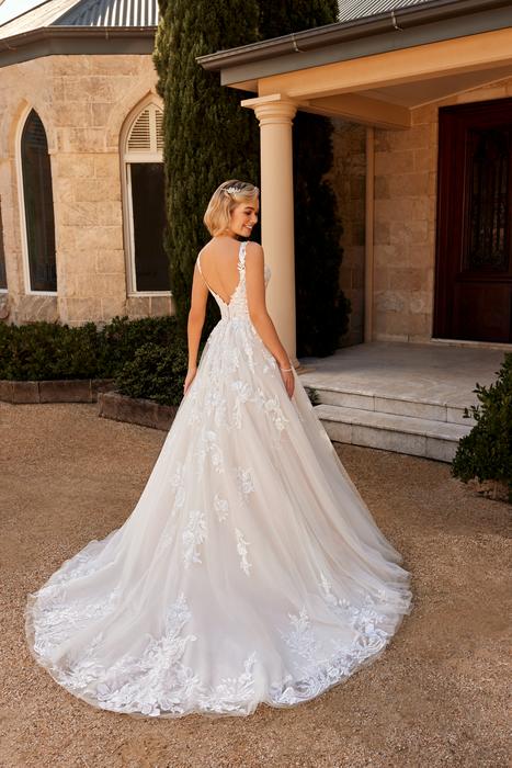 Arlo-Sophia Tolli Y3115