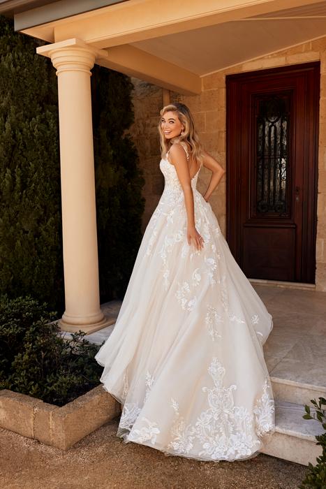 Arlo-Sophia Tolli Y3115