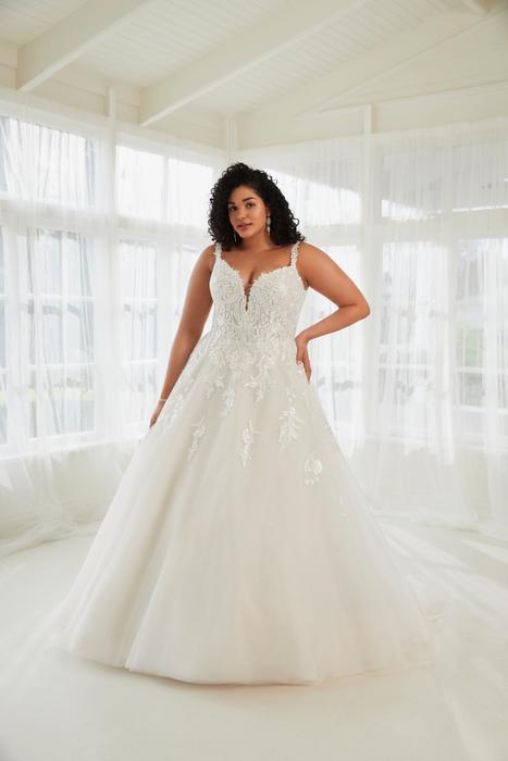 Arlo-Sophia Tolli Y3115