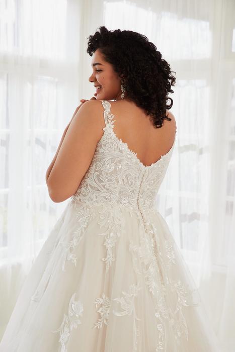 Arlo-Sophia Tolli Y3115