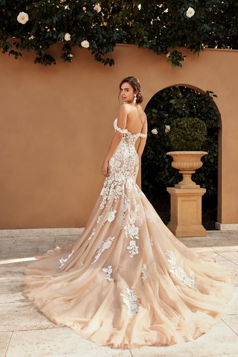 Sasha-Sophia Tolli Y3116