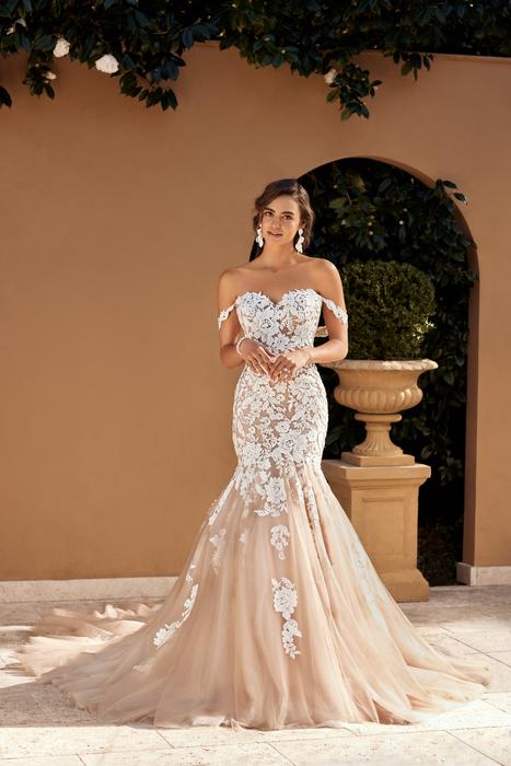 Sasha-Sophia Tolli Y3116