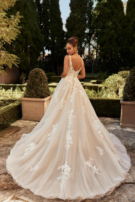 Pierson-Sophia Tolli Y3117