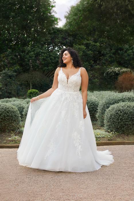 Pierson-Sophia Tolli Y3117