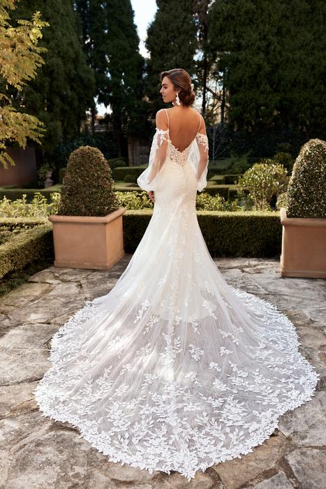 Allira-Sophia Tolli Y3118