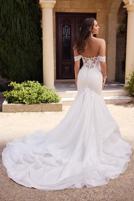 Elvie-Sophia Tolli Y3124