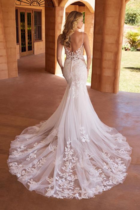 Ivana-Sophia Tolli Y3127