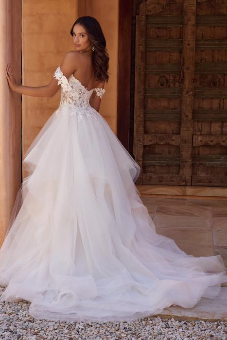 Tilly-Sophia Tolli Y3131