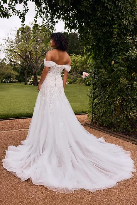 Gueniver-Sophia Tolli Y3135FI