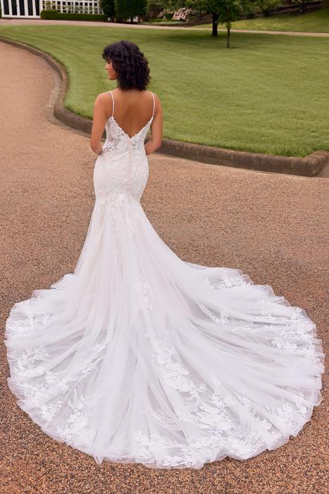 Bethany-Sophia Tolli Y3136