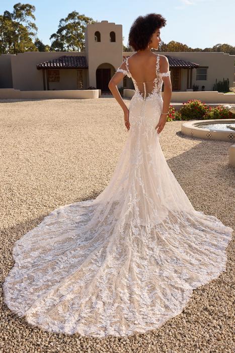 Margarita-Sophia Tolli Y3140