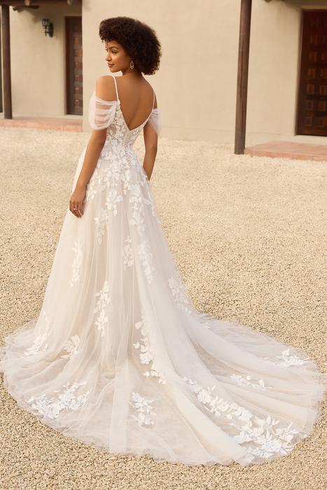 Isla-Sophia Tolli Y3146