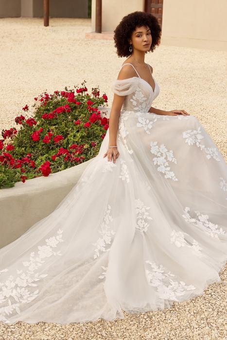 Isla-Sophia Tolli Y3146