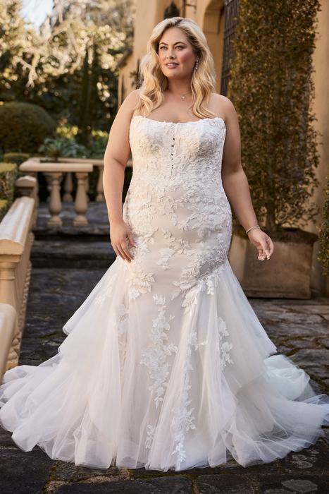 Isobel-Sophia Tolli Y3148