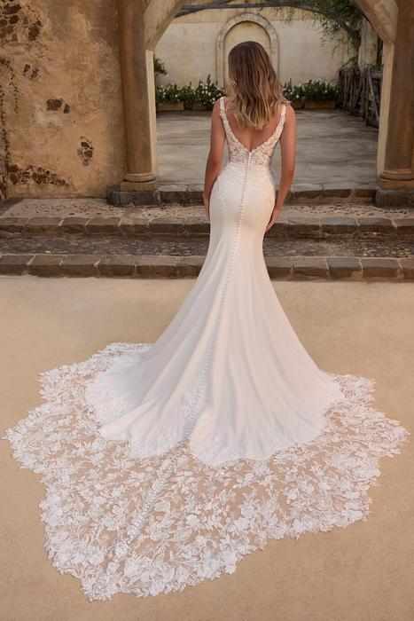 Daisy-Sophia Tolli Y3150