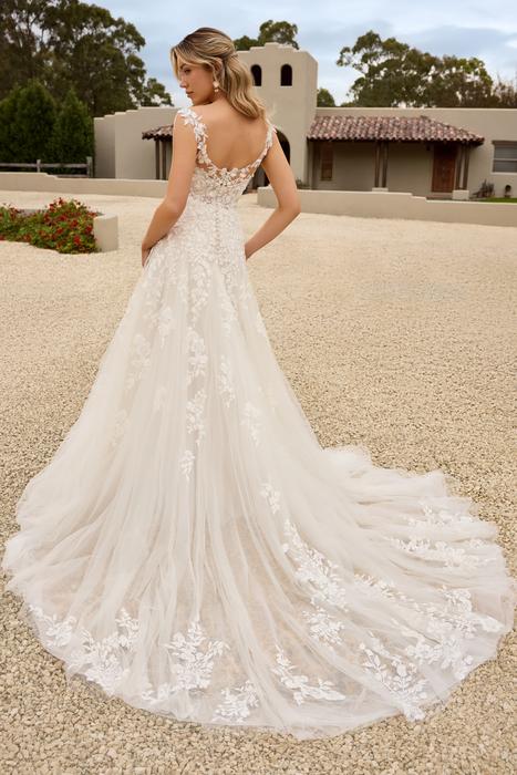 Otylia-Sophia Tolli Y3151