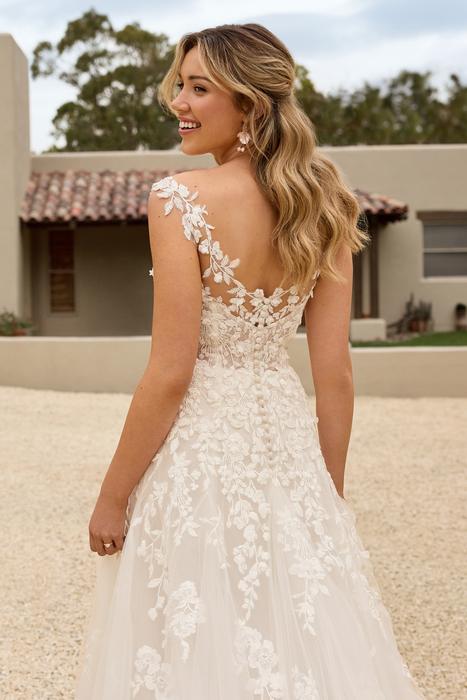 Otylia-Sophia Tolli Y3151