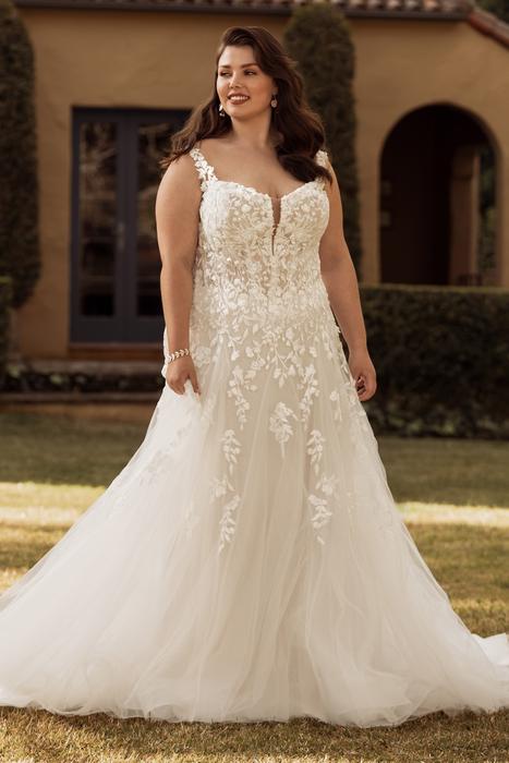 Otylia-Sophia Tolli Y3151