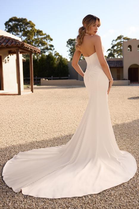 Patrice-Sophia Tolli Y3152