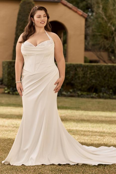 Patrice-Sophia Tolli Y3152