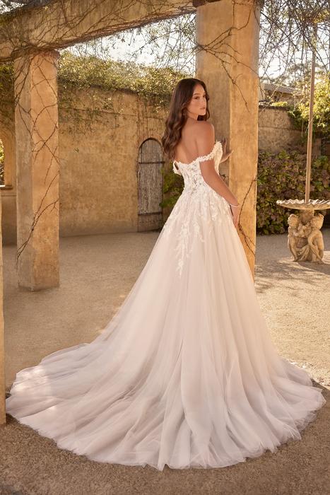 Patrice-Sophia Tolli Y3153