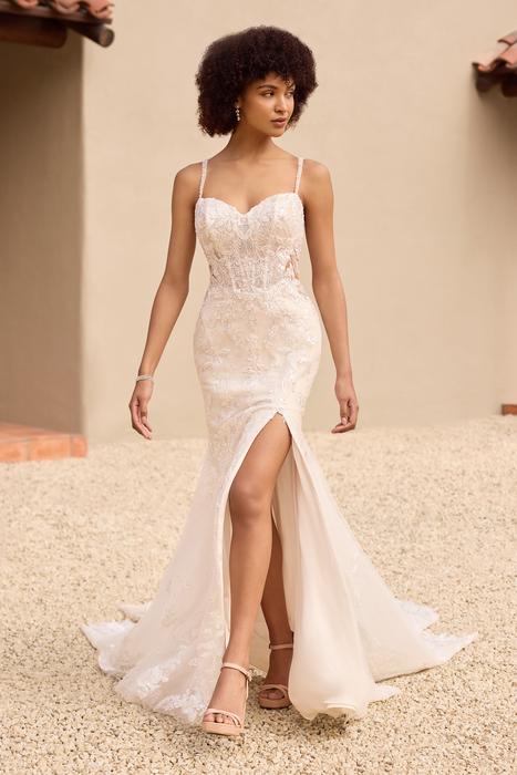 Tasmin-Sophia Tolli Y3154