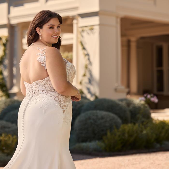 Coral-Sophia Tolli Y3161HB