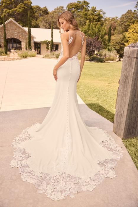 Coral-Sophia Tolli Y3161