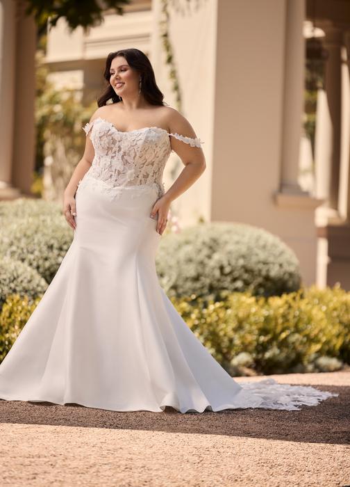 Dove-Sophia Tolli Y3163