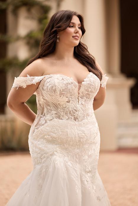 Lola-Sophia Tolli Y3165