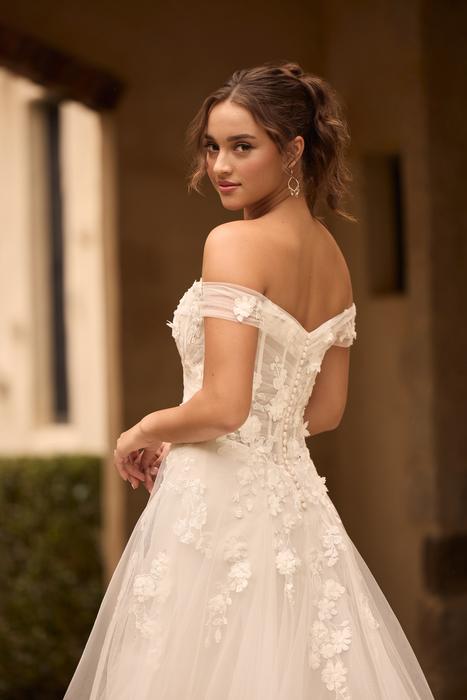 Winnie-Sophia Tolli Y3169