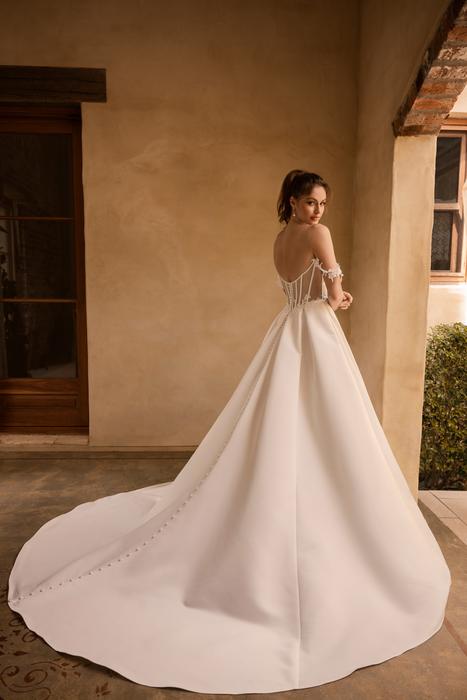 Rue-Sophia Tolli Y3171HB