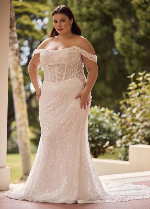 Sun-Sophia Tolli Y3175