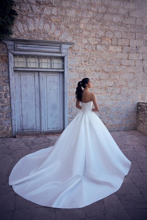 Elli-Sophia Tolli Y3182A