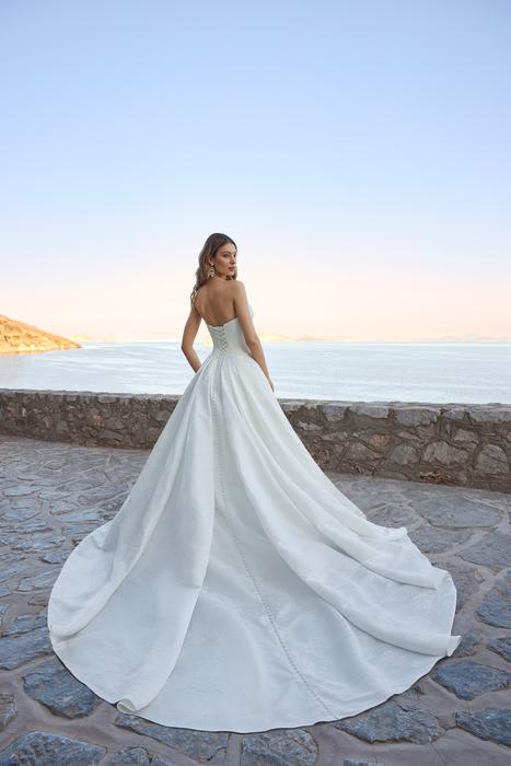 Elli Marie-Sophia Tolli Y3182B