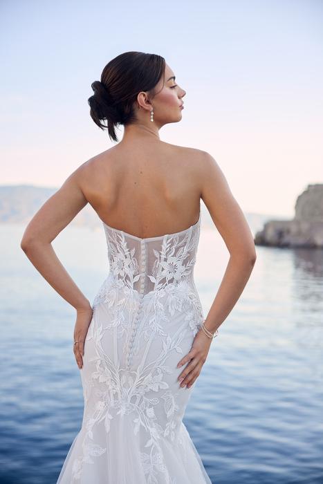 Malibu-Sophia Tolli Y3185