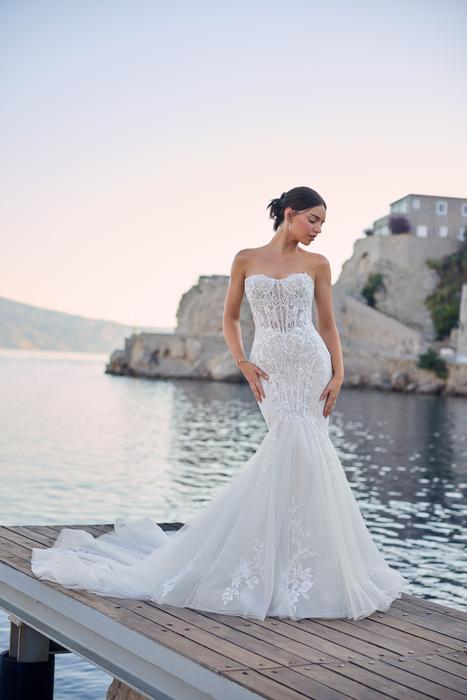 Malibu-Sophia Tolli Y3185