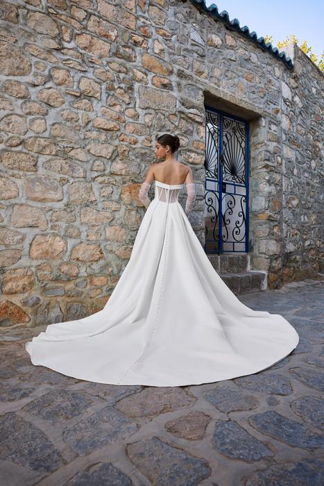 Teagan-Sophia Tolli Y3187