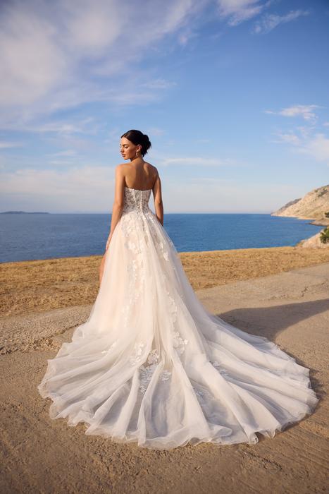 Betty-Sophia Tolli Y3190