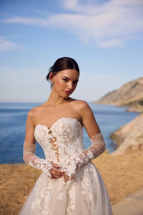 Betty-Sophia Tolli Y3190