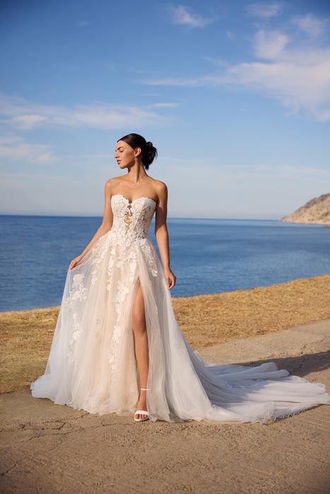 Betty-Sophia Tolli Y3190