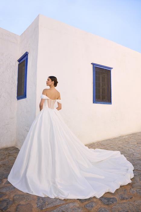 Kirby-Sophia Tolli Y3191