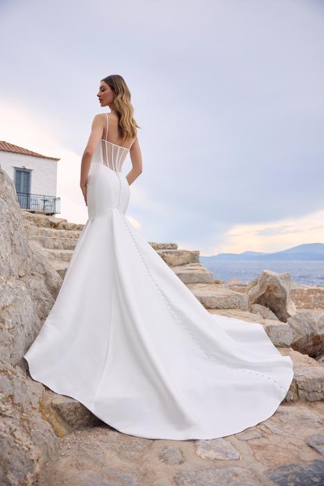 Imogen-Sophia Tolli Y3192