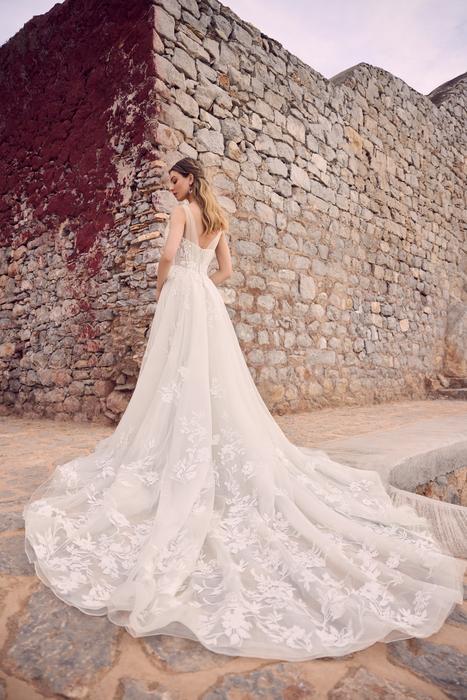 Venice-Sophia Tolli Y3193