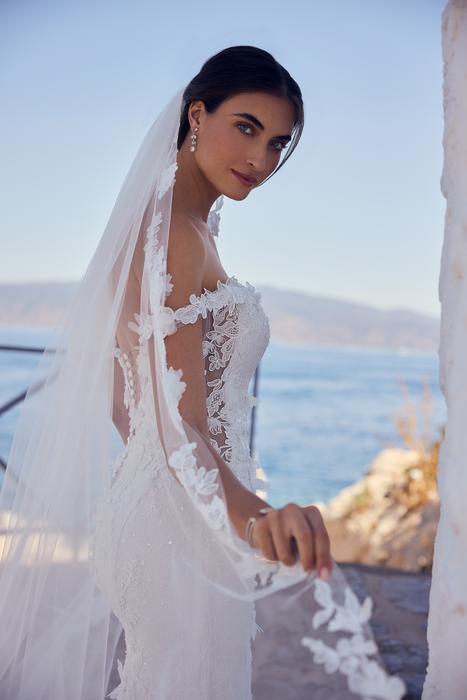 Ebony-Sophia Tolli Y3194