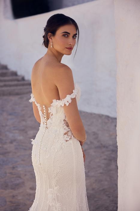 Ebony-Sophia Tolli Y3194