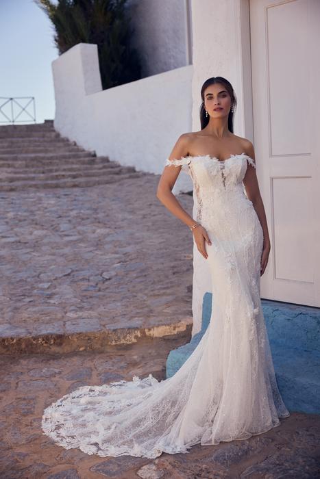 Ebony-Sophia Tolli Y3194