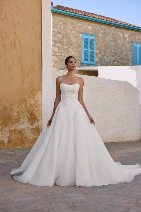 Joy-Sophia Tolli Y3195